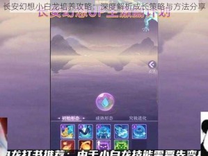 长安幻想小白龙培养攻略：深度解析成长策略与方法分享