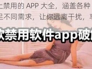 100 种晚上禁用的 APP 大全，涵盖各种类型，满足不同需求，让你远离干扰，享受宁静夜晚