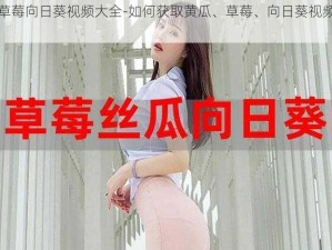 黄瓜草莓向日葵视频大全-如何获取黄瓜、草莓、向日葵视频大全？