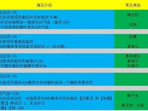 天地劫剑邪魂石技能搭配攻略：实战解析与高效组合策略