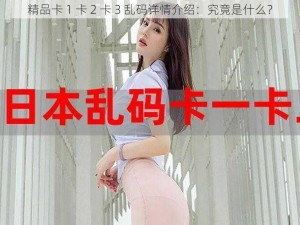 精品卡 1 卡 2 卡 3 乱码详情介绍：究竟是什么？