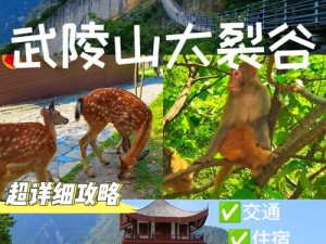 龙族幻想神秘探索地点大揭秘：五大隐秘之地汇总探秘之旅启动