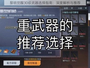 黎明觉醒30级武器选择指南：深度解析与推荐