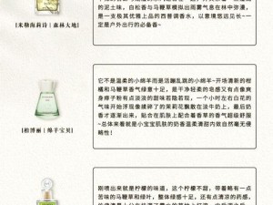 薰衣草实验室 2022 隐藏路线——让你欲罢不能的神秘香氛之旅