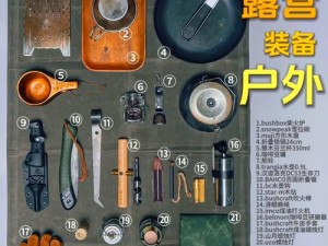 荒野求生必备：携带10件工具的生存指南