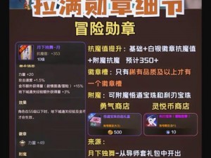 海盗勋章获取攻略：揭秘海盗勋章获得方法与途径介绍