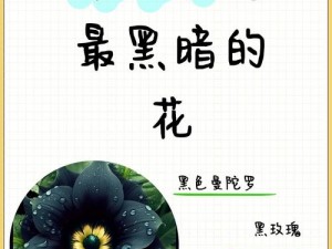 文字魔法：玩出花爱咆哮版——文字的力量唤醒爱的魔法旋律