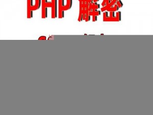 在线 php 免费 sg11 解密——高效精准的解密工具