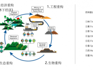 代号生机之下的生态循环系统：探究自然与科技的和谐共生之道