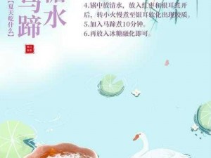 全球味蕾盛宴：共创我们的星球超级食谱配方宝典，尽享创意烹饪艺术之旅