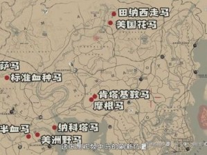 荒野大镖客2阿帕卢萨马位置详解：探寻游戏中的马匹所在地及获取攻略