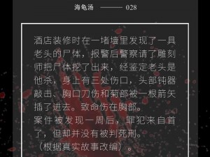 海龟蘑菇汤黑色钱包谜题揭晓：答案一览探秘宝藏线索