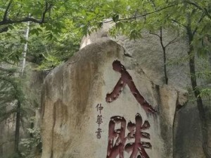 千年蛇魅与巡游之争：究竟哪个更引人入胜？