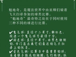 《魁地奇荣耀之战：翱翔魔法世界的热血挑战》