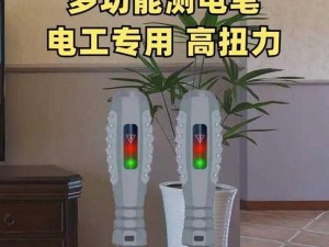 扶老二检测线路 1 官方 - 专业的线路检测工具，保障你的网络安全