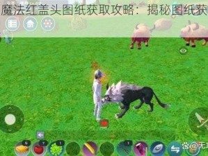 创造与魔法红盖头图纸获取攻略：揭秘图纸获取途径与步骤