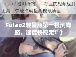 Fulao2 检测线路 1：专业的视频检测工具，快速准确检测视频质量