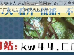 5G天天奭多人 运动入口在线网站(5G 天天奭多人运动入口在线网站，畅享极致体验)