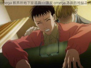 omega 教养所地下室道具——激发 omega 本能的神秘工具