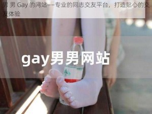 男 男 Gay 的网站——专业的同志交友平台，打造贴心的交友体验