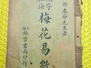 基于梅花易数买书建议：《梅花易数入门与精解——选哪本书更有助您深究》