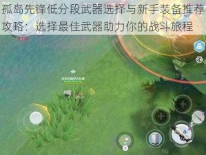 孤岛先锋低分段武器选择与新手装备推荐攻略：选择最佳武器助力你的战斗旅程