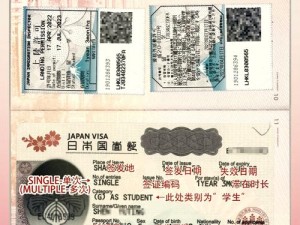 解析 JANPENSEVISA：专业的日本个人旅游签证办理服务