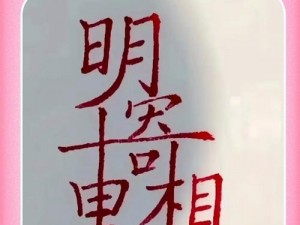 汉字找茬王攻略：揭秘兲字之谜，轻松找出隐藏字谜技巧