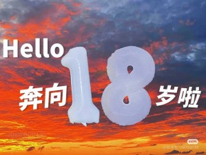 B站今年十八岁【祝 B 站十八岁生日快乐】