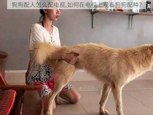 狗狗配人怎么配电视,如何在电视上观看狗狗配种？