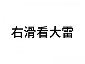 大雷狙击网页版入口——快速稳定的网络狙击平台