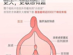 大战 BBW 丰满肥女 Tub 成人玩具，让你体验前所未有的刺激