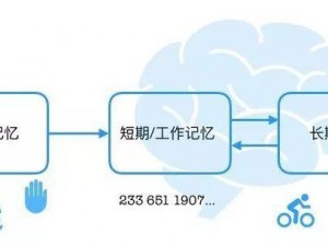 灵历十八年沈邑尘记忆揭秘：全方位攻略指南带你探寻终极奥秘