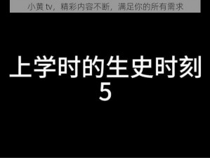 小黄 tv，精彩内容不断，满足你的所有需求