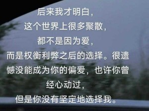 我不会再对第二个人(我不会再对第二个人像对你一样好了，你是我唯一的偏爱)