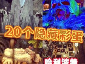 哈利波特魔法觉醒电台神秘信号彩蛋攻略揭秘：探索神秘信号，解锁隐藏任务与奖励