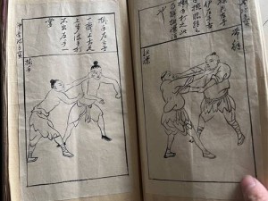 君子堂门派武学秘籍大全一览表：武艺之巅的绝世秘笈