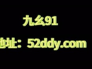 九幺黄 91 安装：带你领略全新的网络世界