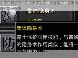 热血传奇新版道士职业全面攻略：技能解析、装备选择与提升路径指南