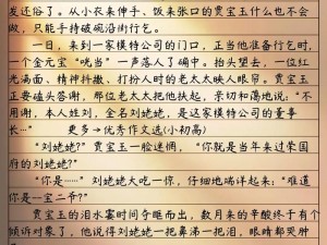 再续红楼梦：续写经典，打造全新红楼传奇