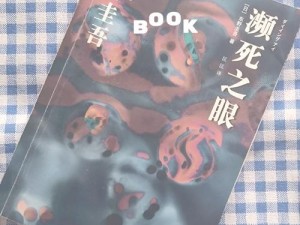 揭开表象之纱：以真实之眼探寻那看不见的真相与谎言背后的过道