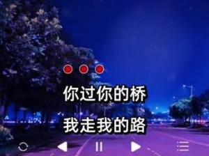 抖音热曲桥段桥上走的哪一句我没到你别起韵，情感旋律醉人心扉