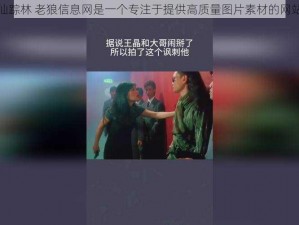 仙踪林 老狼信息网是一个专注于提供高质量图片素材的网站