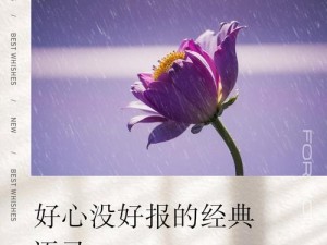 关于要什么都好别要依靠图片的启示：请珍视现实生活的重要性