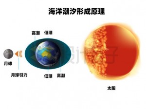 产生海水潮汐的主要成因：引力与地球自转共同作用下的潮汐现象探索