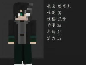 我的世界的Herobrine：神秘角色Him的全方位解析与探索