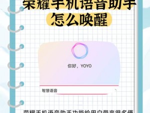 强 一级二级 2024 智能语音助手，让你的生活更便捷