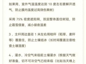 解析森林保暖服材料——究竟其如何保持极致温暖体验的秘诀所在