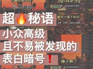 山门秘语揭秘：看门山贼的神秘暗号传奇