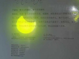 VGAME异物月亮果实制作攻略：详细解读月亮果实的制作方法与步骤